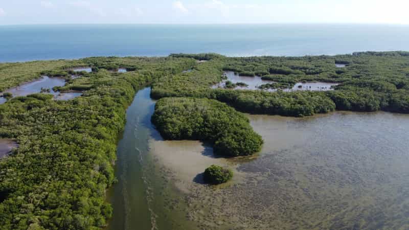01-laguna-de-terminos-campeche-1