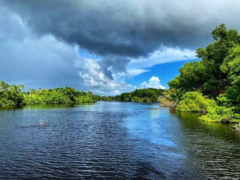 1-pantanos-de-centla-1